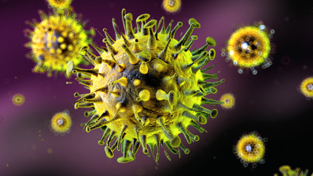 What You Need to Know About the Flu (Influenza)